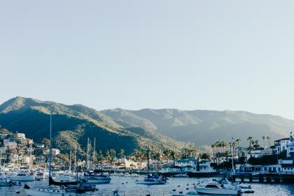 三浦恵理子在线